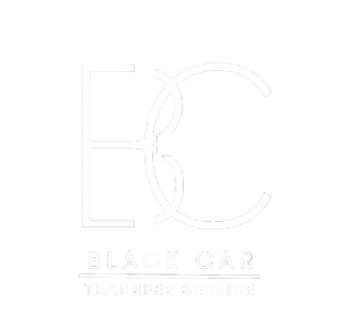 Taxi Skopje Black Car Logo